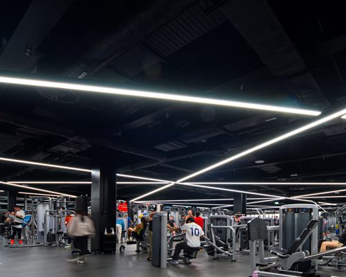 THE UNIVERSITY OF AUCKLAND (2)