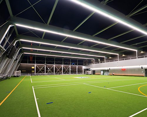 THE UNIVERSITY OF AUCKLAND (3)