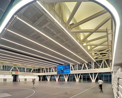 THE UNIVERSITY OF AUCKLAND (4)