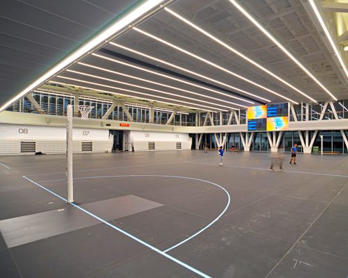 THE UNIVERSITY OF AUCKLAND (8)