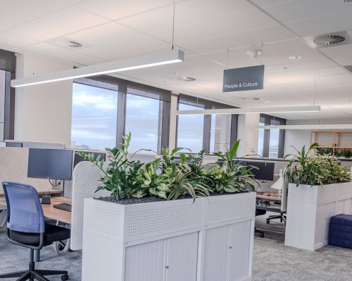 Use as first image Use as first image